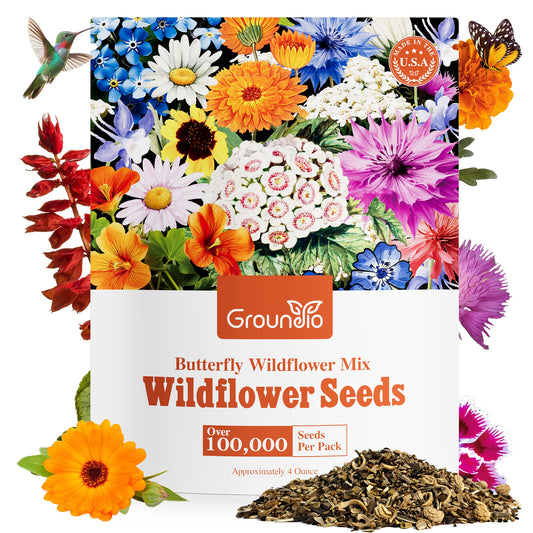 Butterfly Wildflower Mix 26 varieties 4OZ