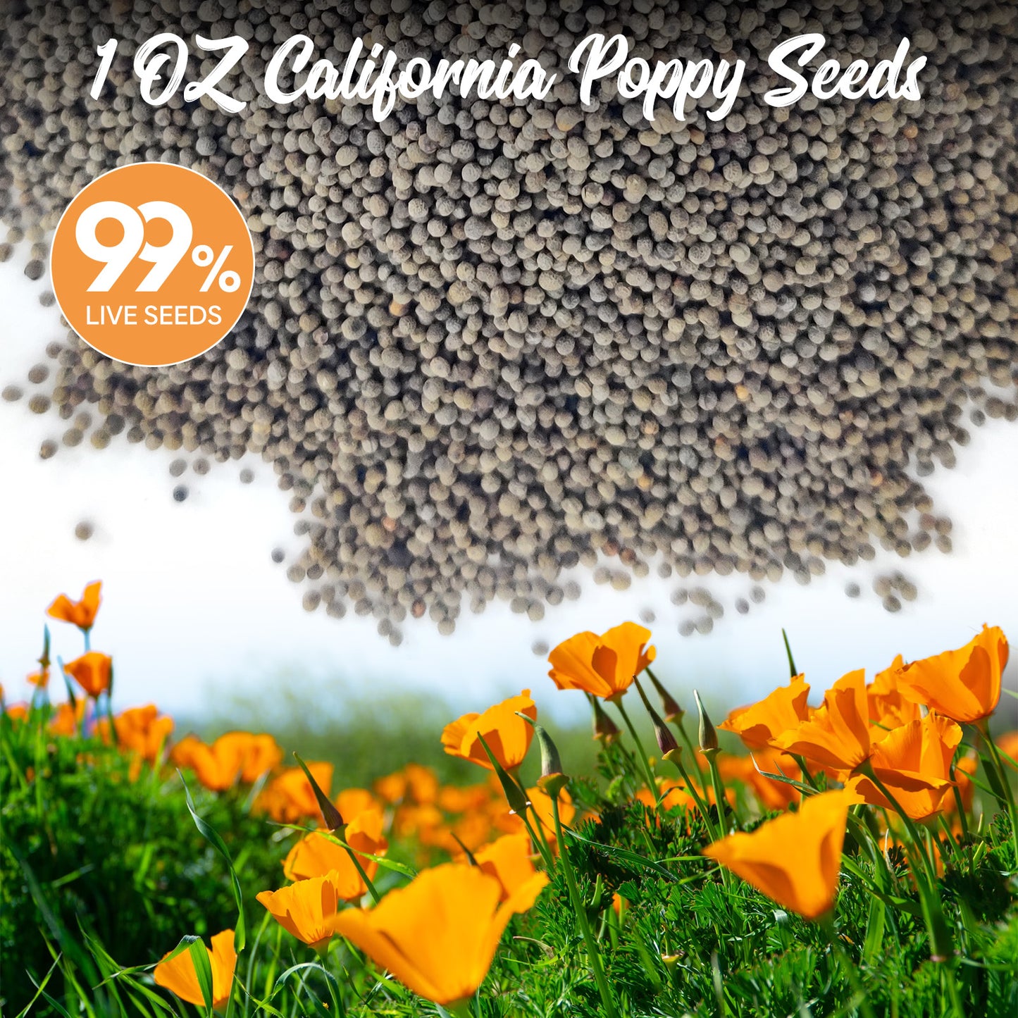 California Poppy Seeds 1oz