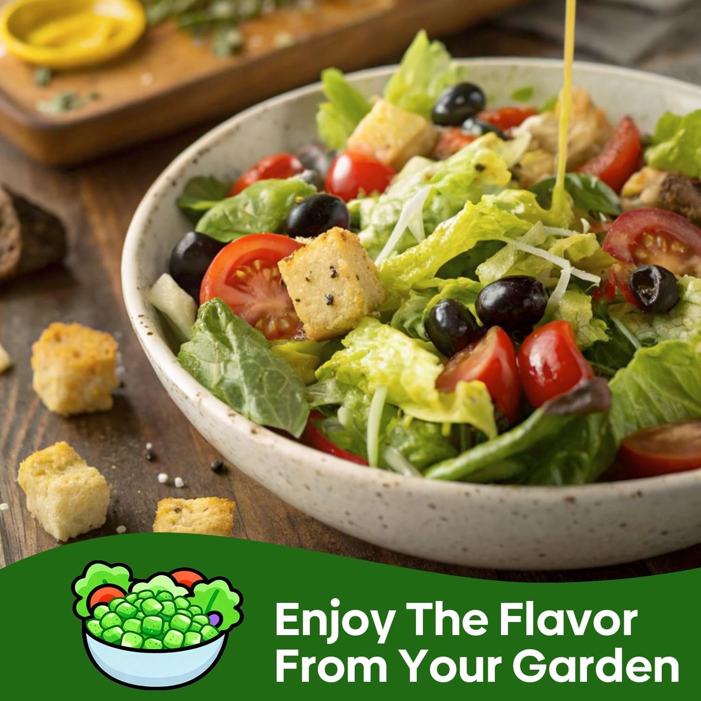 5 Lettuce and Salad Greens Seeds Variety Pack