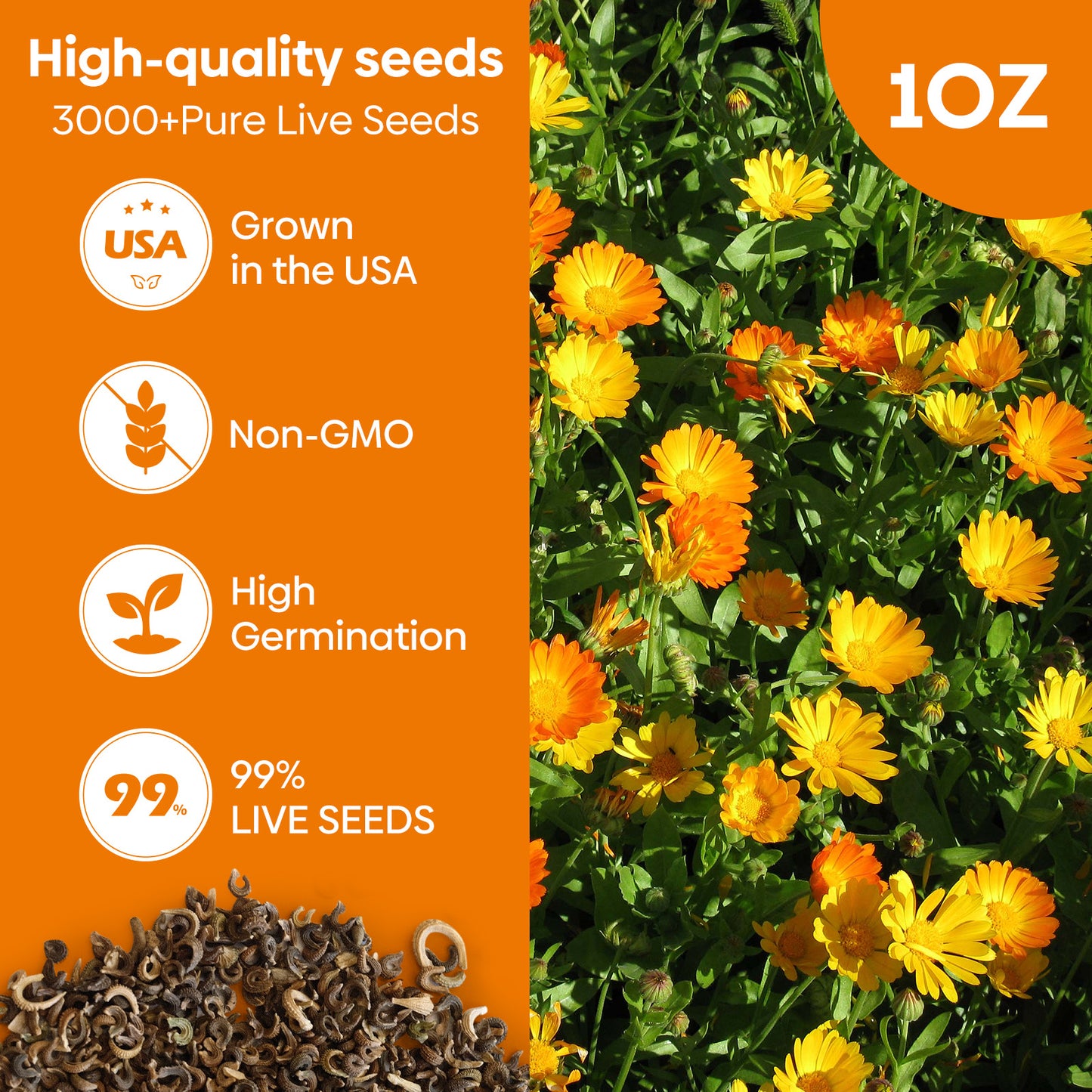 Calendula Seeds 1oz
