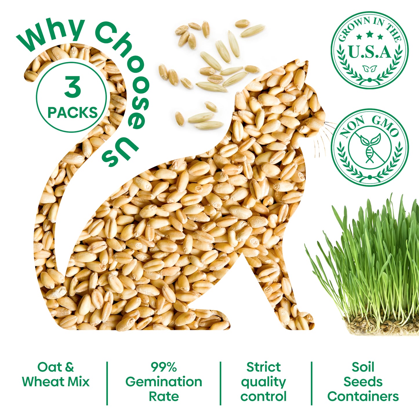 All in 1 Cat Grass Growing Kit for Indoor Cats, Organic Wheat & Oat Seed