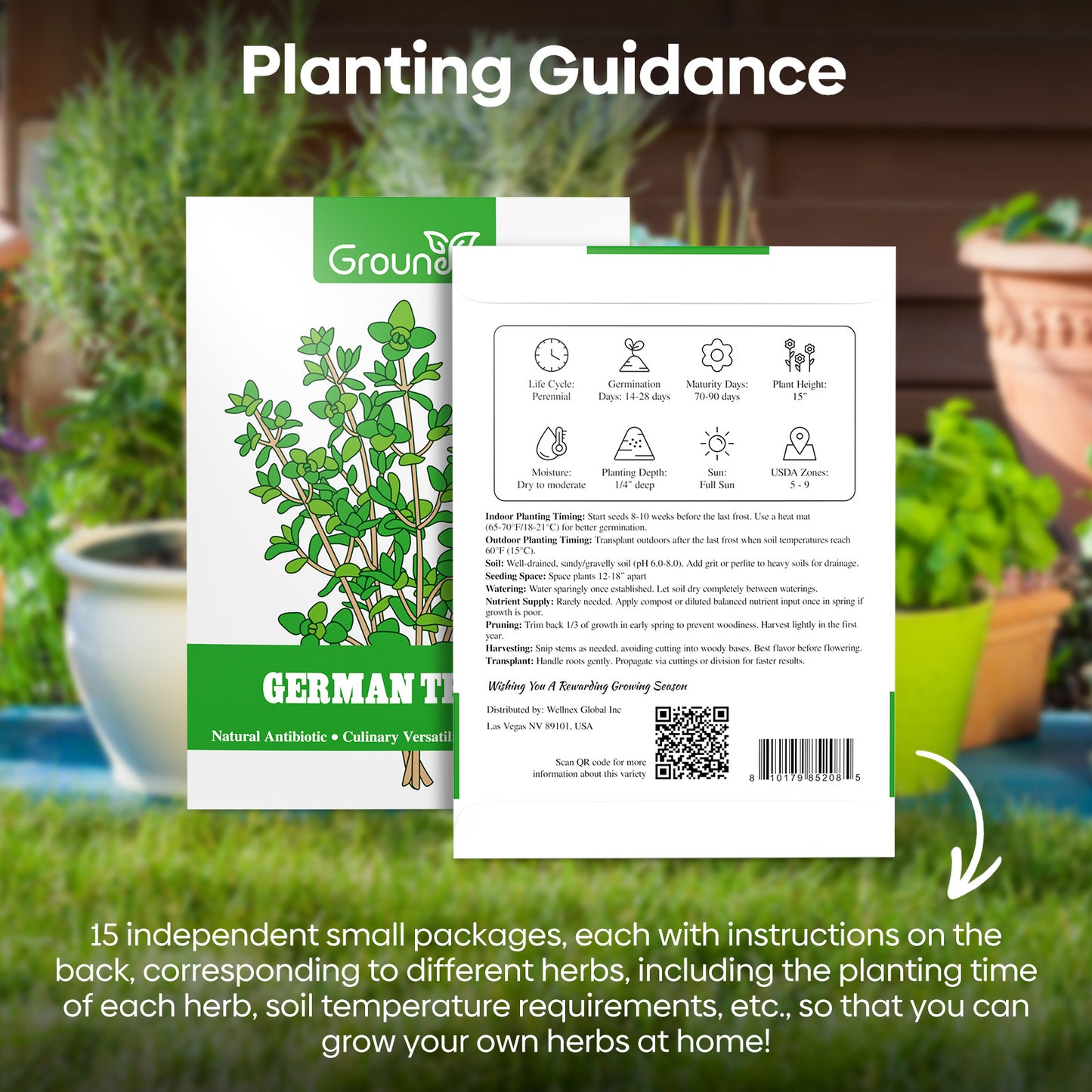 15 Herb Seeds Variety Pack