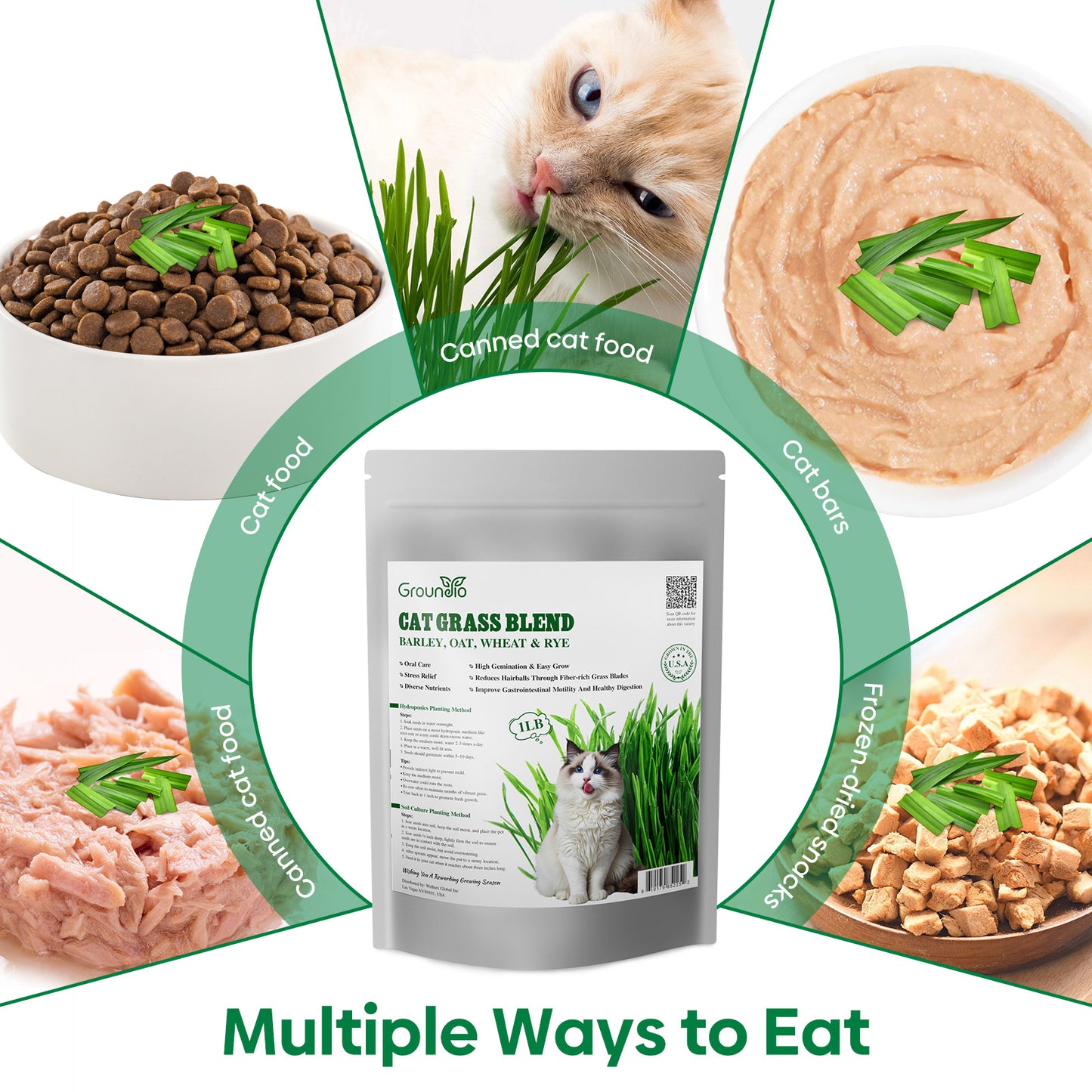 Cat grass 4 Varieties mix 16oz