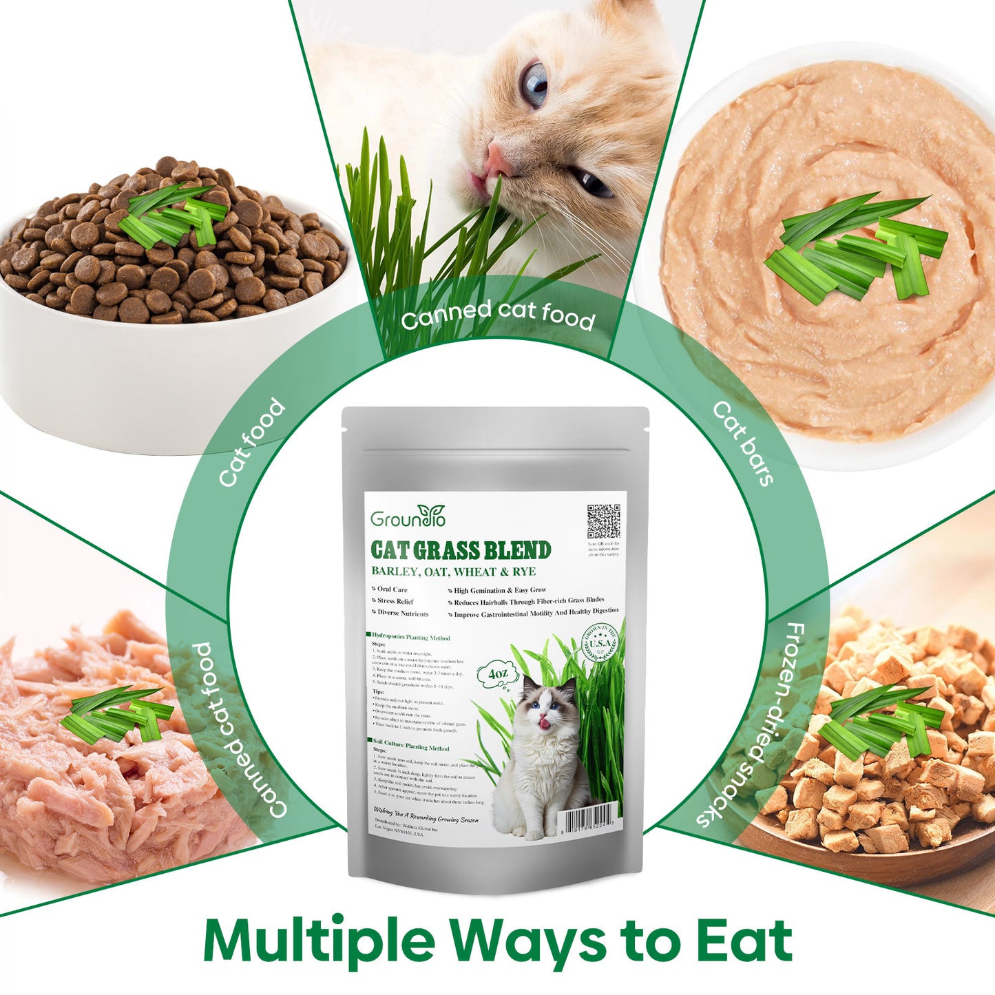 Cat grass 4 Varieties mix 4oz