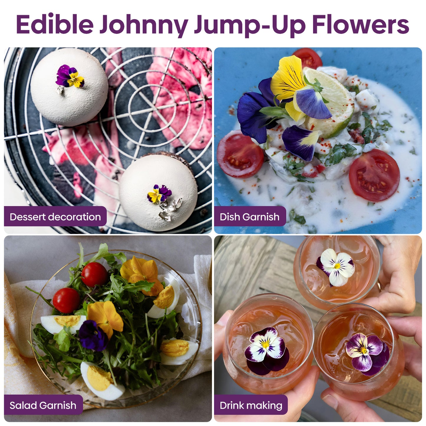 Johnny jump up Viola 6g