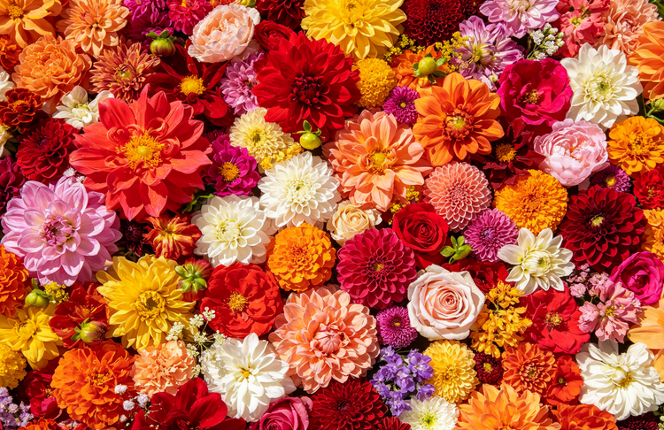 Flower Seeds