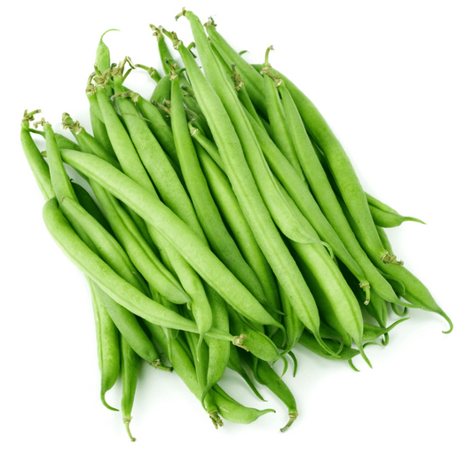 Contender Bush Green Bean Seeds