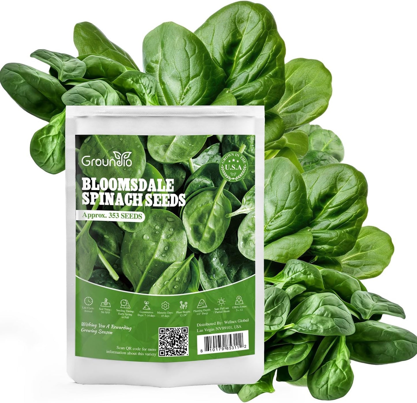 Bloomsdale Spinach Seeds