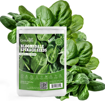 Bloomsdale Spinach Seeds