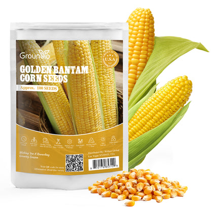 Golden Bantam Corn Seeds