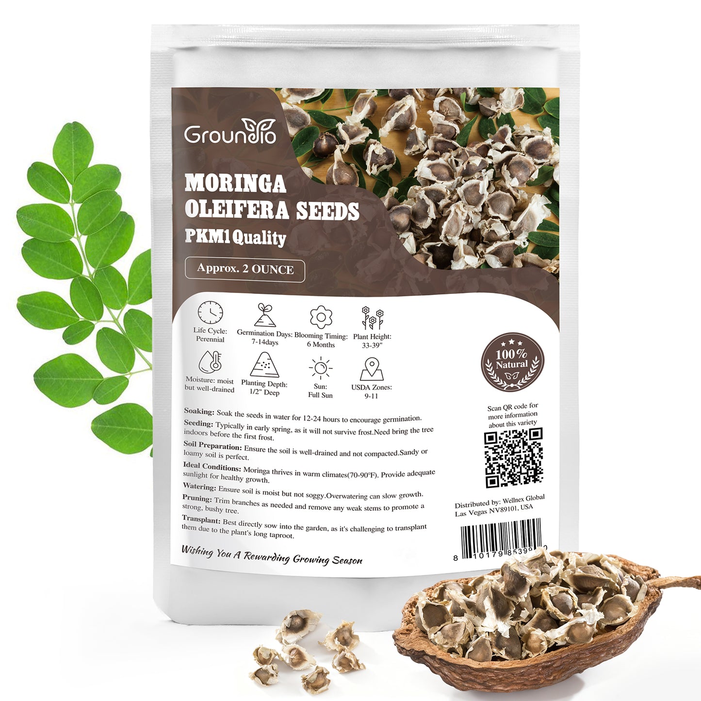 Moringa Seeds 2 Ounce