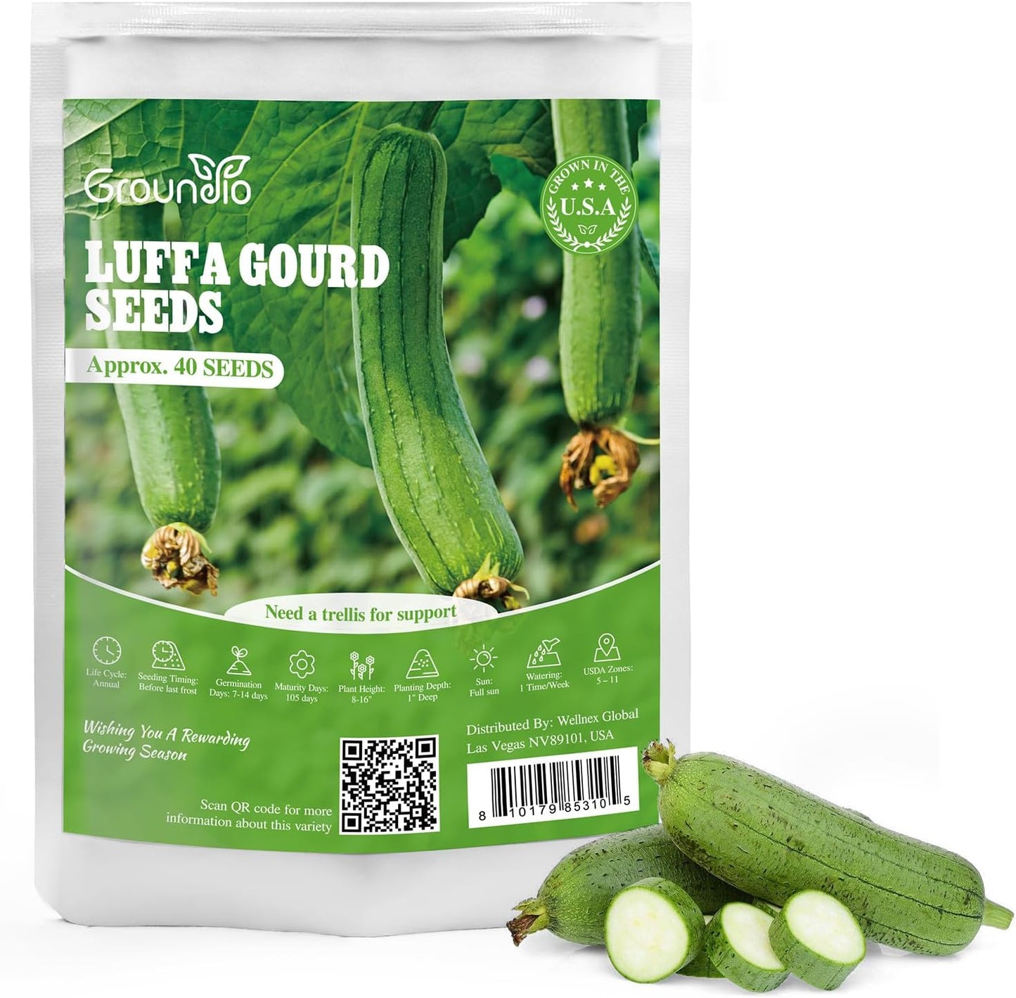 Luffa Seeds 40 Non-GMO Heirloom Vegetable Seeds