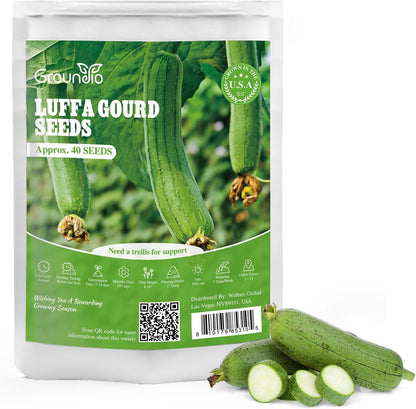 Luffa Seeds 40 Non-GMO Heirloom Vegetable Seeds