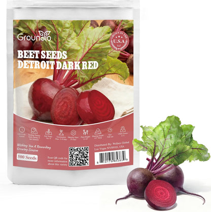 Beet Seeds Pack | 500+ Non-GMO Vegetable Seeds for Planting Indoor