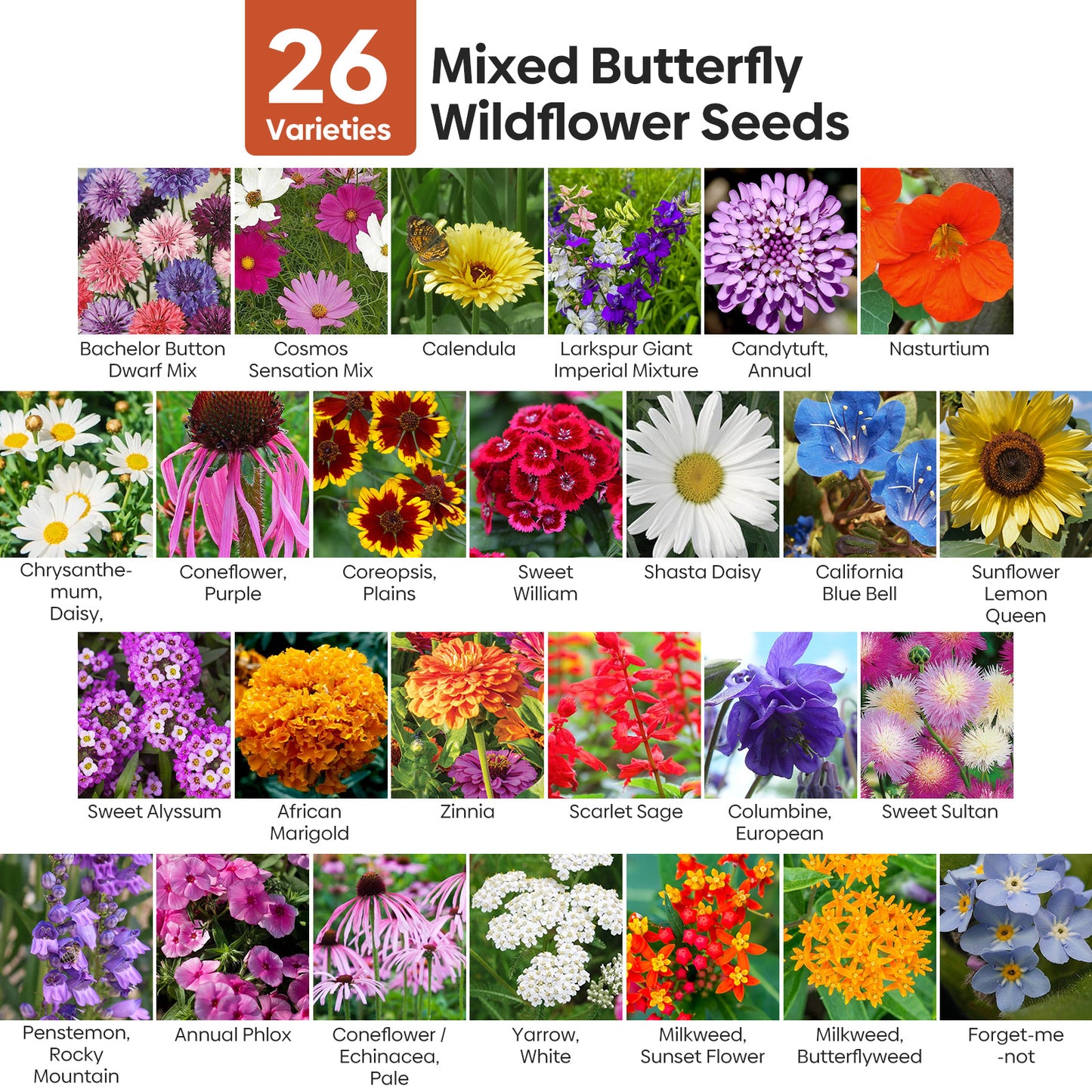 Butterfly Wildflower Mix 26 varieties 4OZ