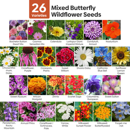 Butterfly Wildflower Mix 26 varieties 4OZ