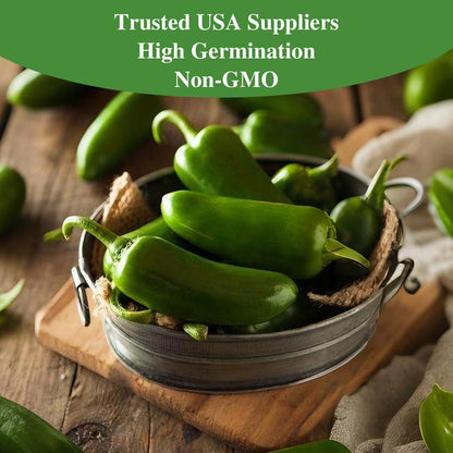 Jalapeno Pepper Seeds for Planting