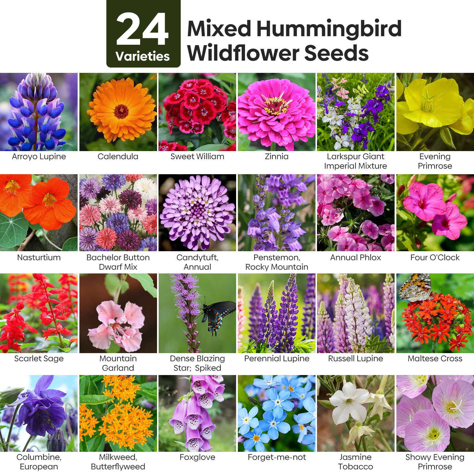 mixed wildflower seeds Hummingbird Wildflower Mix 24 varieties 1OZ – Groundio