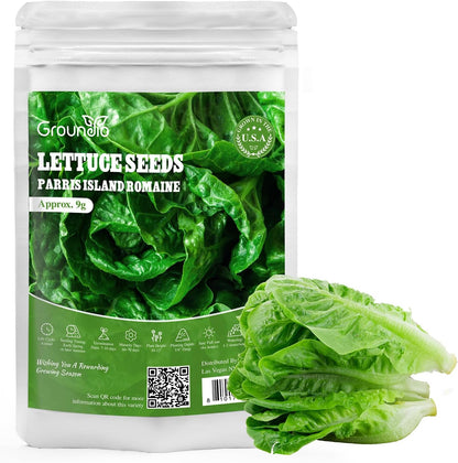 Romaine Lettuce Seeds Parris Island Vegetable Seeds