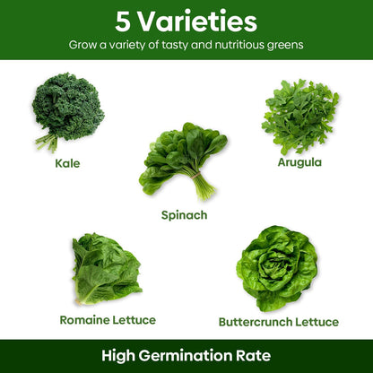 5 Lettuce and Salad Greens Seeds Variety Pack