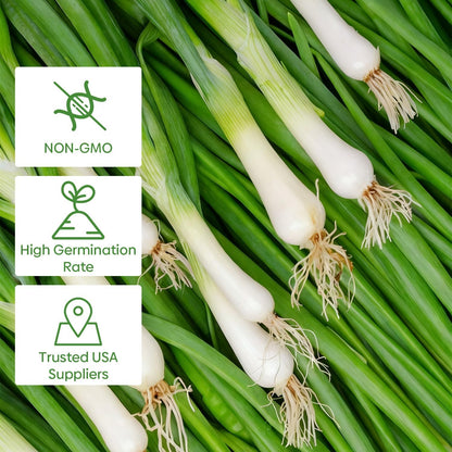 Heshiko Bunching Green Onion Seeds