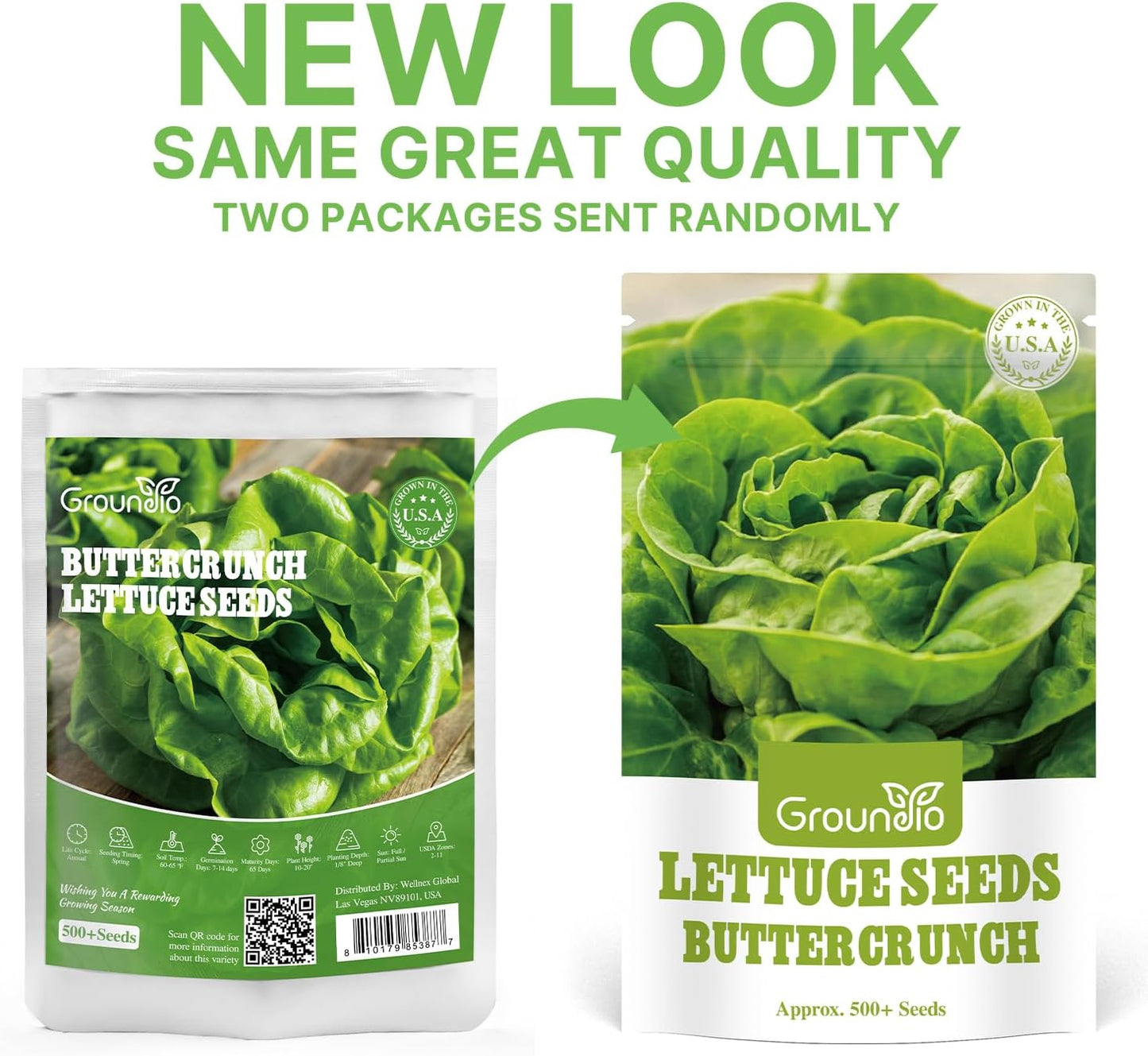 500 Buttercrunch Lettuce Seeds