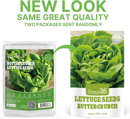 500 Buttercrunch Lettuce Seeds