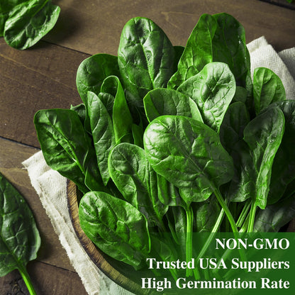 Bloomsdale Spinach Seeds