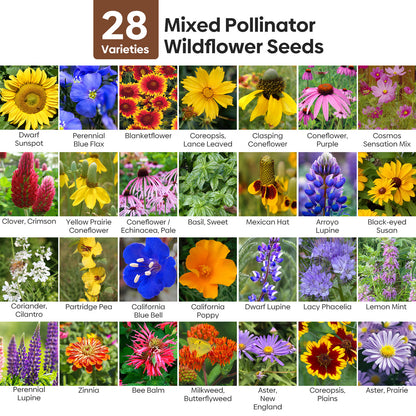 Pollinator Wildflower Mix 28 Varieties 2OZ