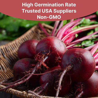 Beet Seeds Pack | 500+ Non-GMO Vegetable Seeds for Planting Indoor