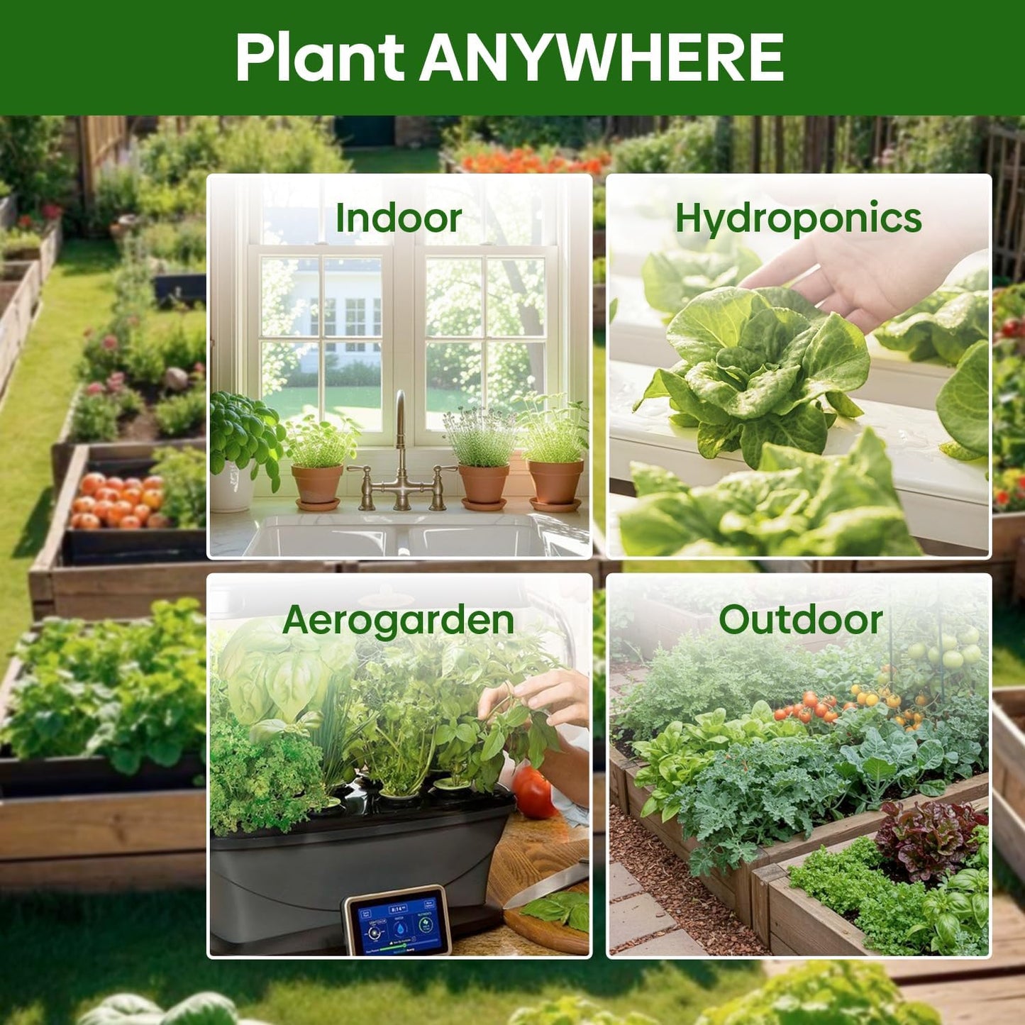 5 Lettuce and Salad Greens Seeds Variety Pack