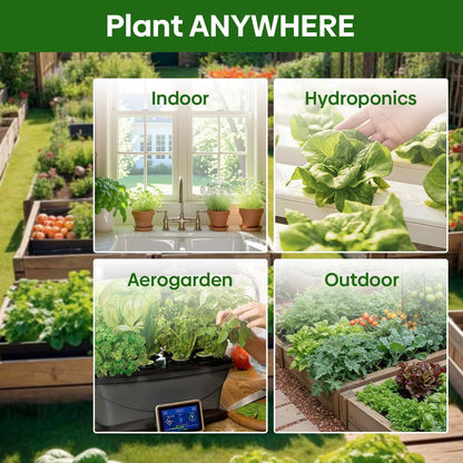 5 Lettuce and Salad Greens Seeds Variety Pack