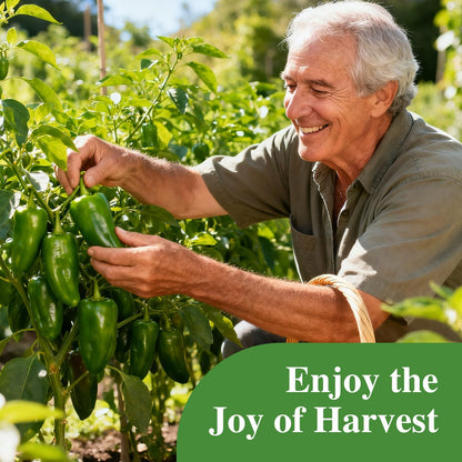 Jalapeno Pepper Seeds for Planting