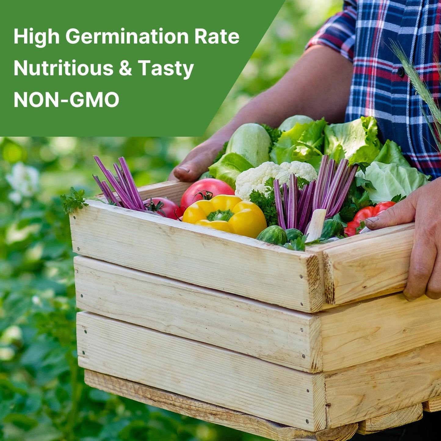 Luffa Seeds 40 Non-GMO Heirloom Vegetable Seeds