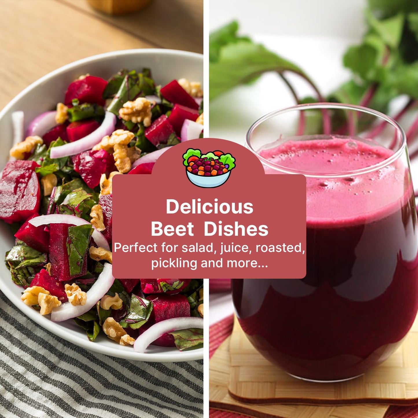 Beet Seeds Pack | 500+ Non-GMO Vegetable Seeds for Planting Indoor