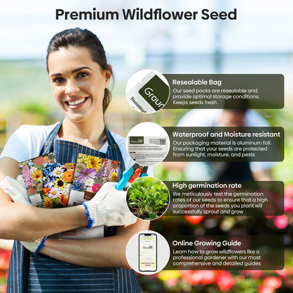 premium wildflower seeds Hummingbird Wildflower Mix 24 varieties 1OZ – Groundio