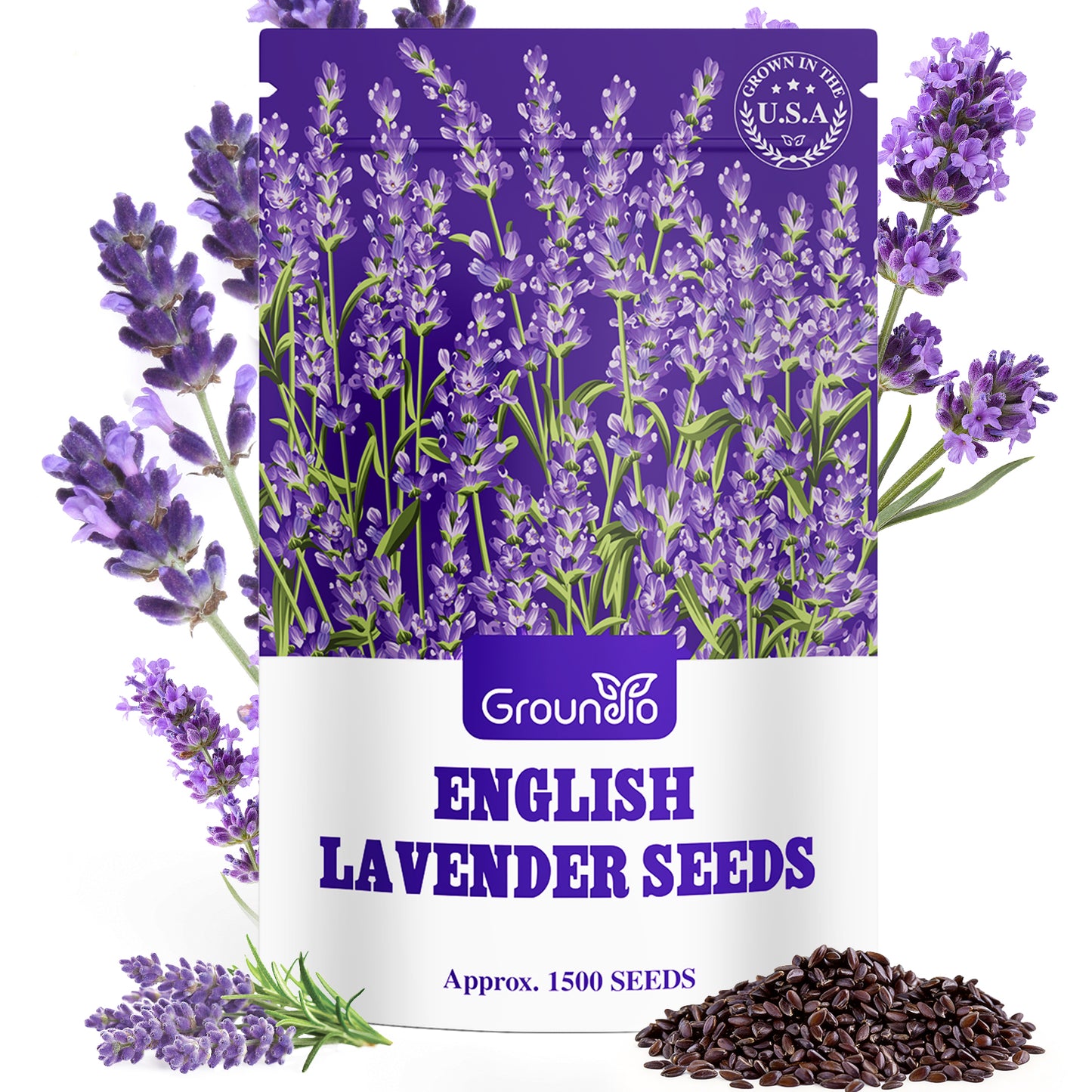 English Lavender Seeds, 1500+