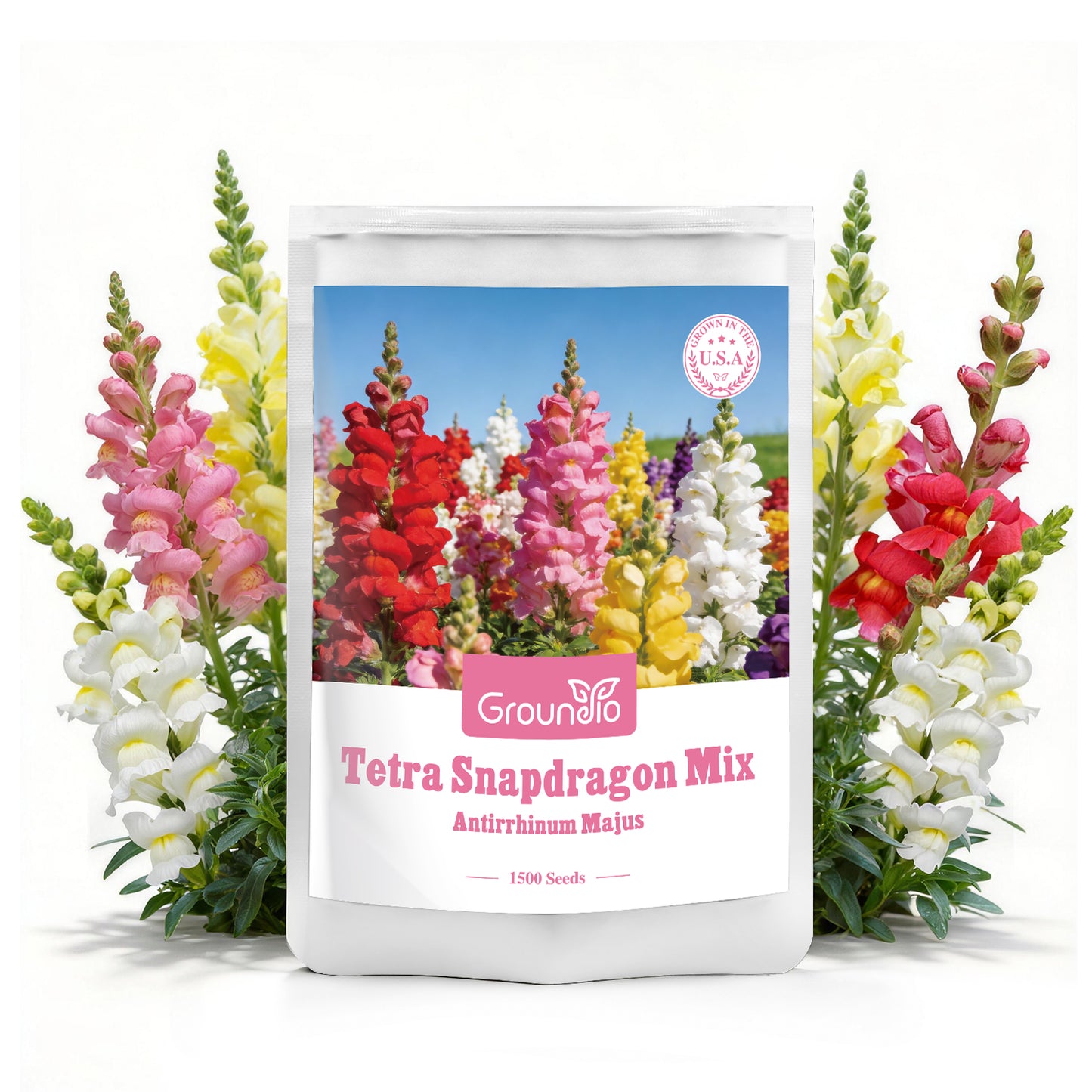 1500+ Tetra Mix Snapdragon Seeds