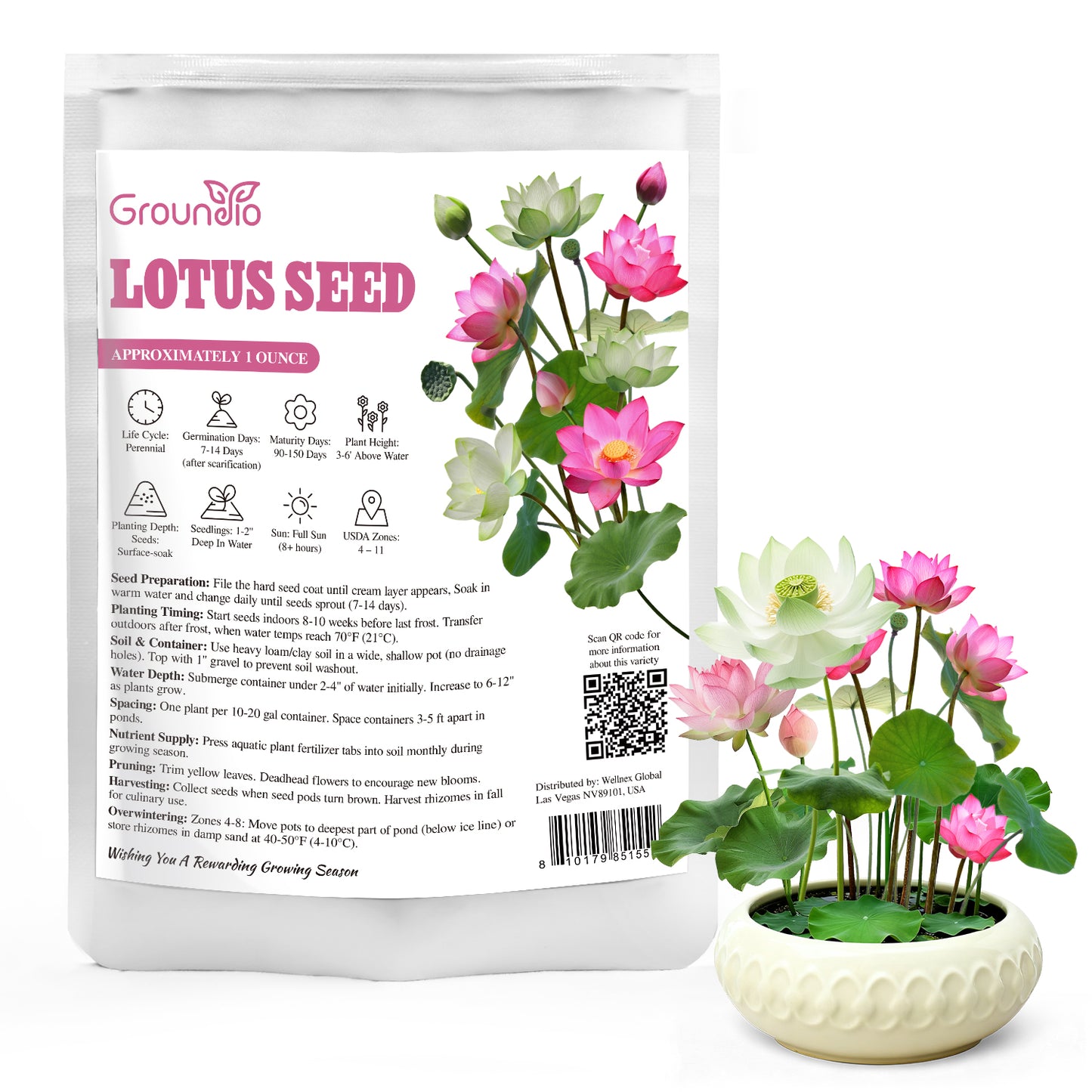 10Pcs Lotus Flower Seeds