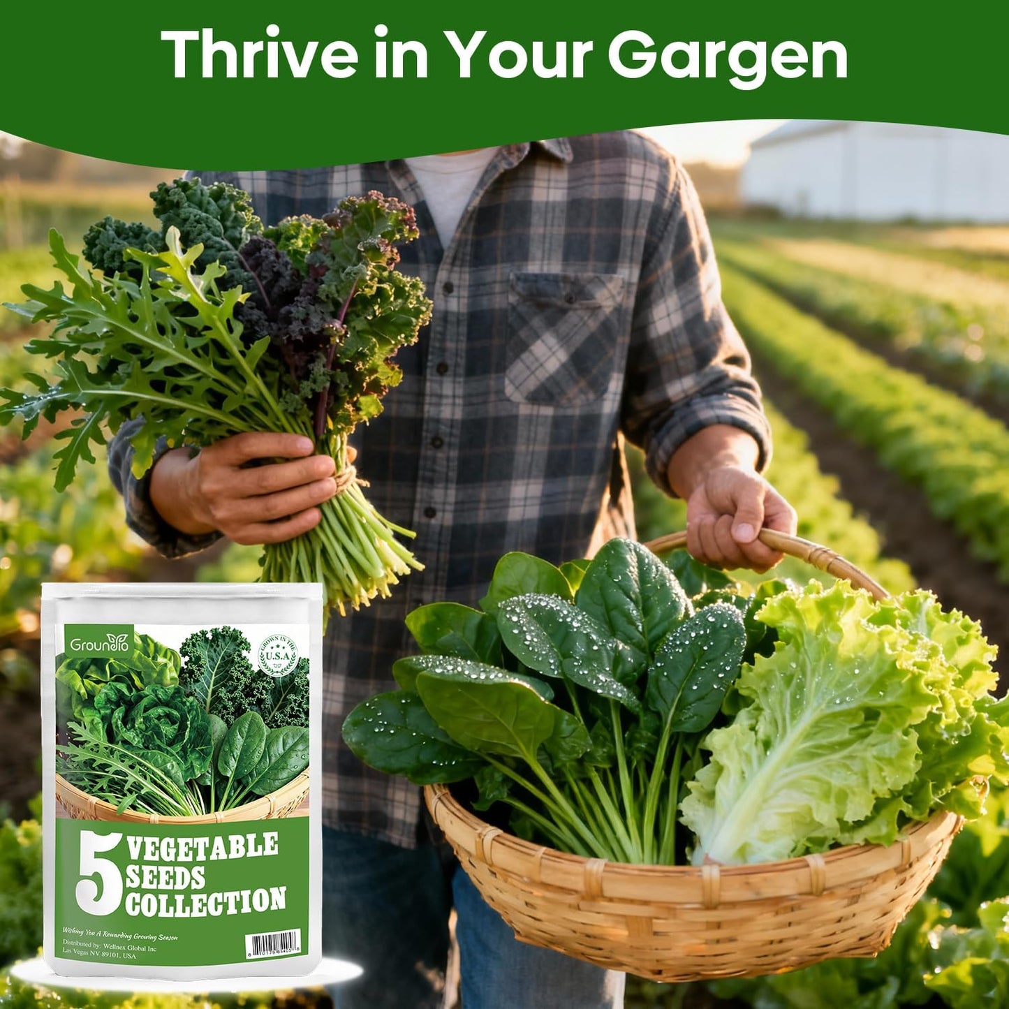 5 Lettuce and Salad Greens Seeds Variety Pack