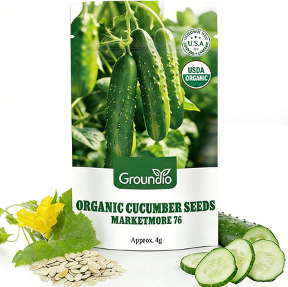 Organic Cucumber Seeds