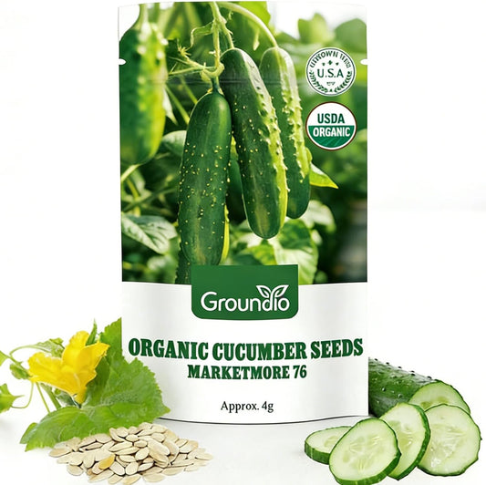 Organic Cucumber Seeds
