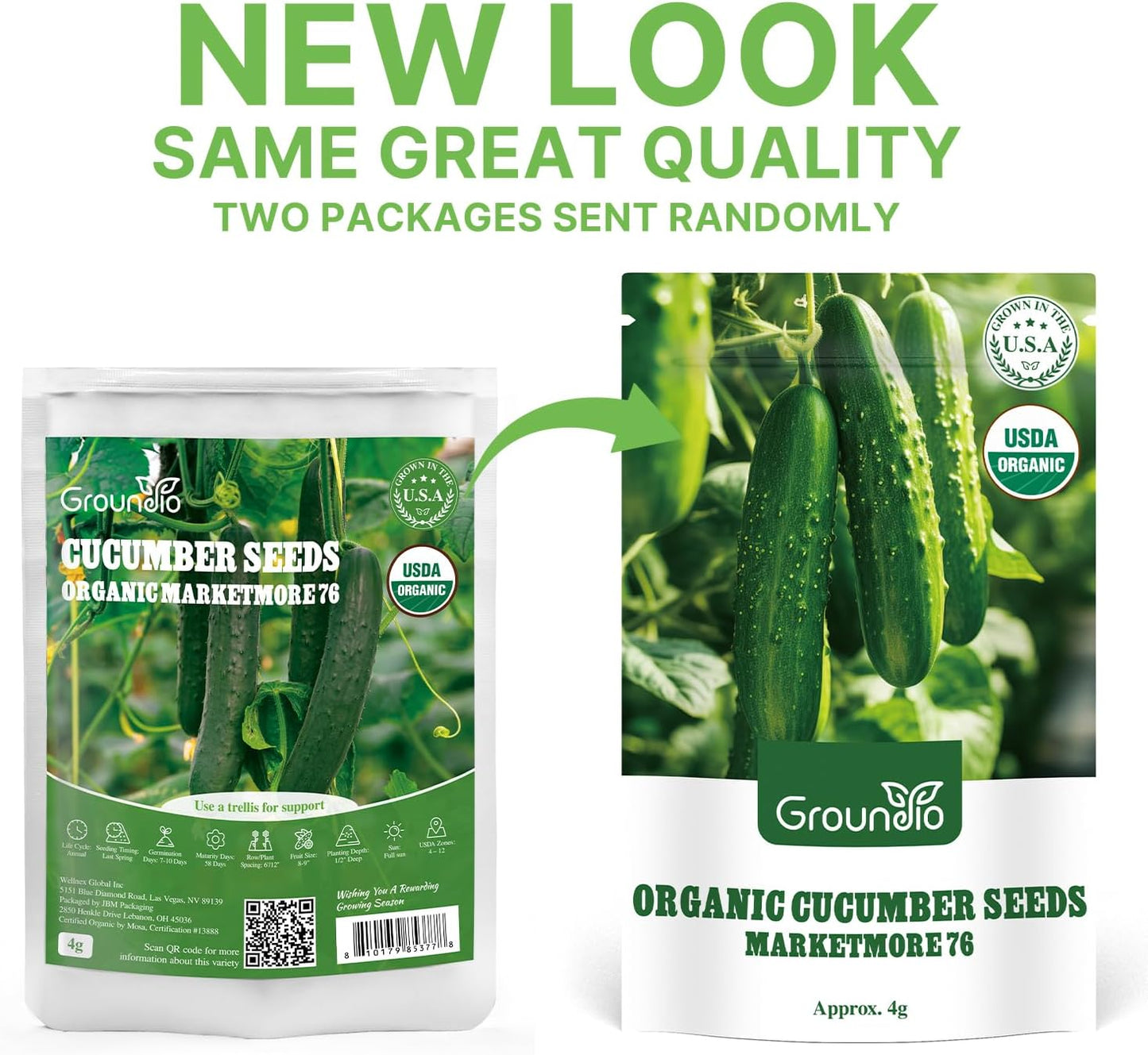 Organic Cucumber Seeds