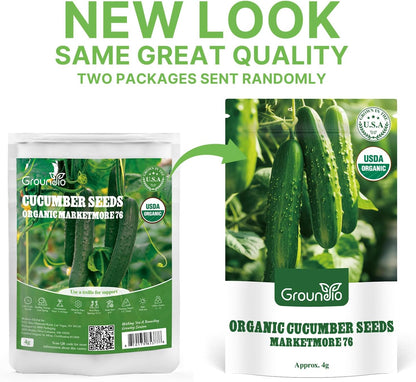 Organic Cucumber Seeds