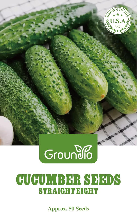 50 Straight Eight Cucumber Seeds