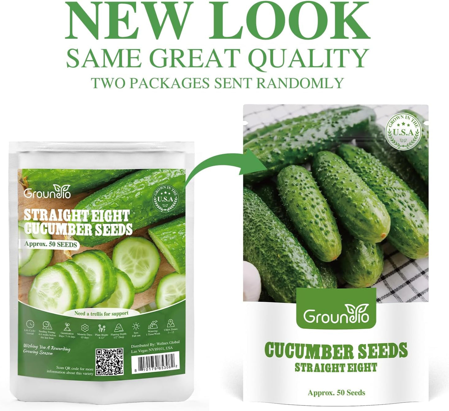 50 Straight Eight Cucumber Seeds