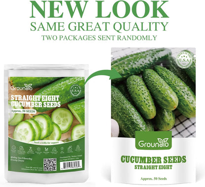 50 Straight Eight Cucumber Seeds