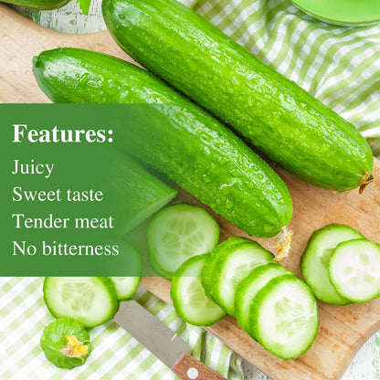 50 Straight Eight Cucumber Seeds