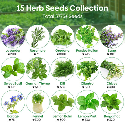 15 Herb Seeds Variety Pack