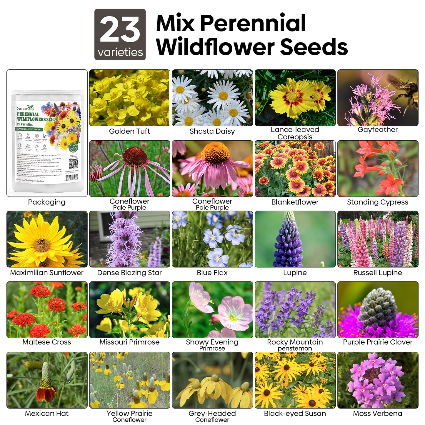 10000+ All Perennial Wildflower Seeds 1 OZ 23 Varieties